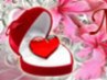 Женя Красавцева ღ Love ღ | Чебоксары