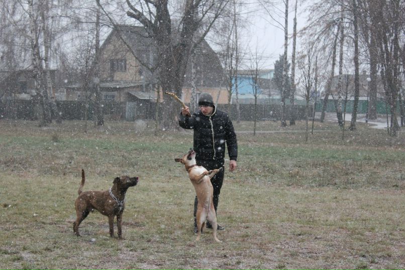 Влад Светлицкий | Киев