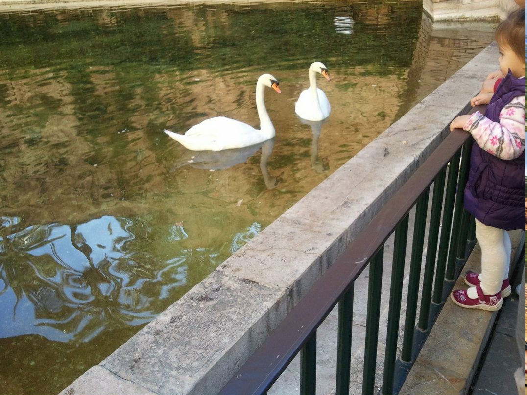 Maria shevtsiv(stavniychuk) | Золочев