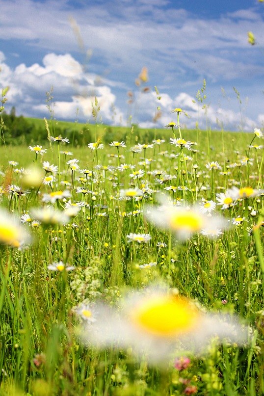 Света Александрова | Калтан