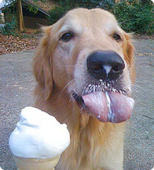 Наташа Романова | Чита