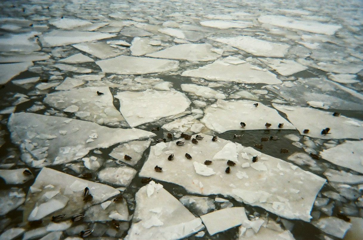 Александр Новиков | Москва