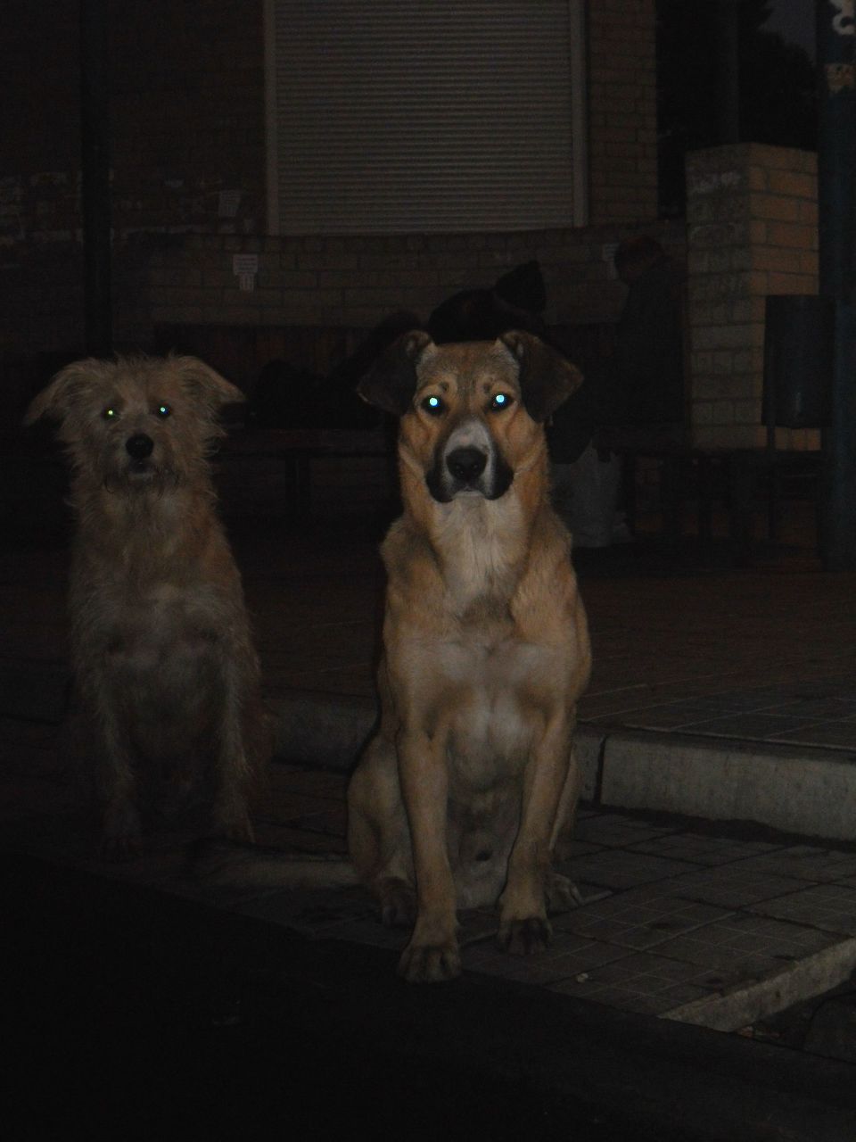 Андрей Фасхиев | Харьков