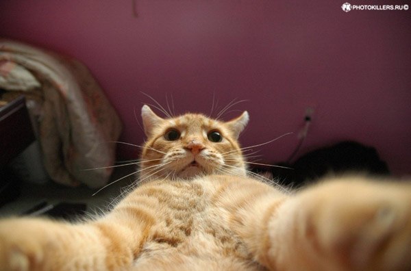 Олег Пальчевский | Винница