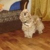 Аватар: Джеф Добровольский