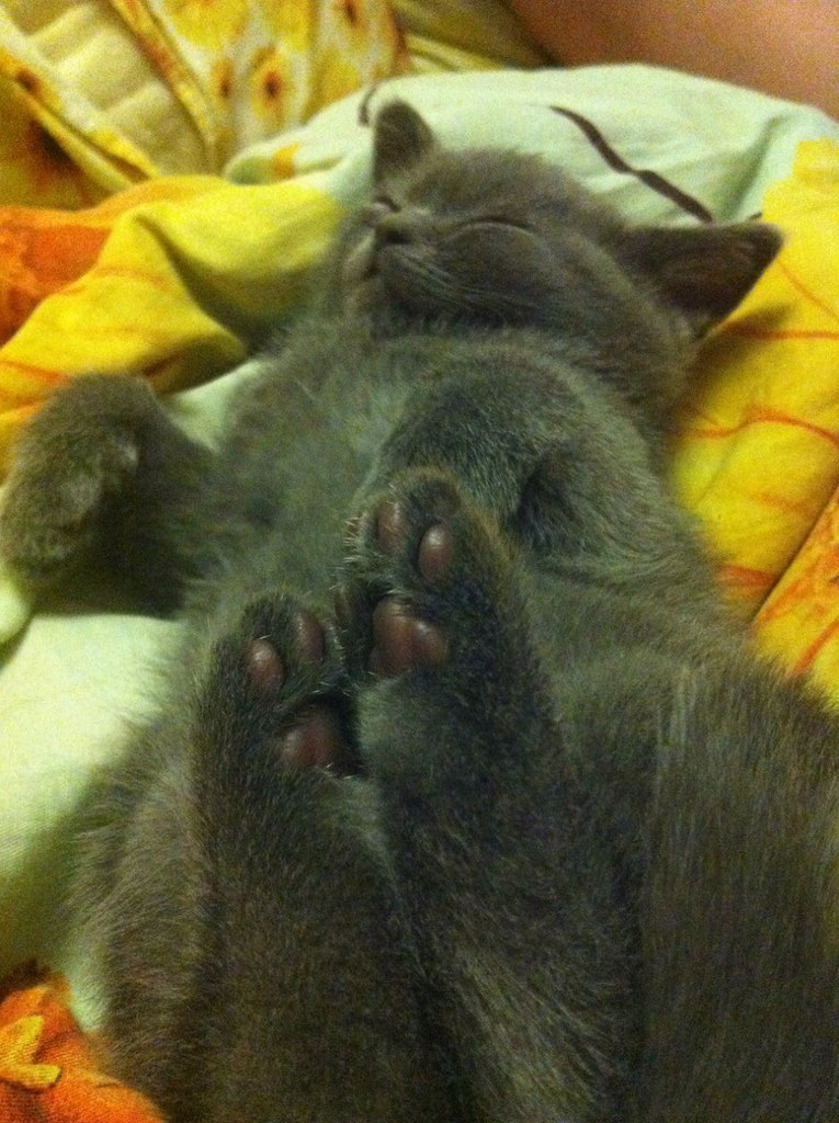 Мария Никитина | Москва