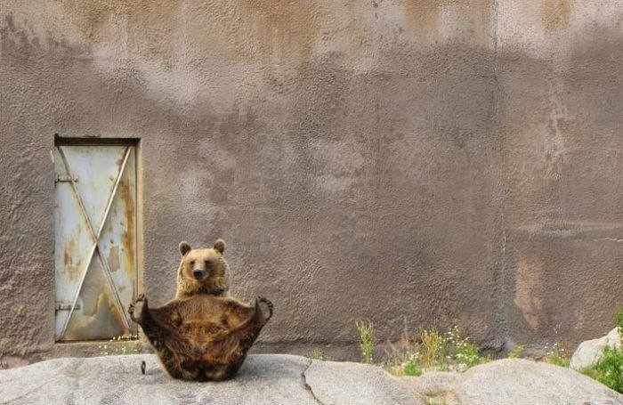 Олжас Канапьянов | Алматы