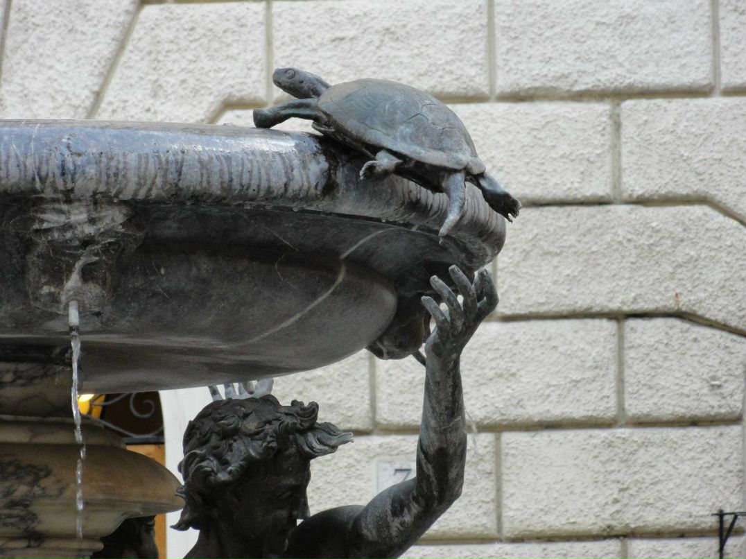 Виталий Ян | Санкт-Петербург