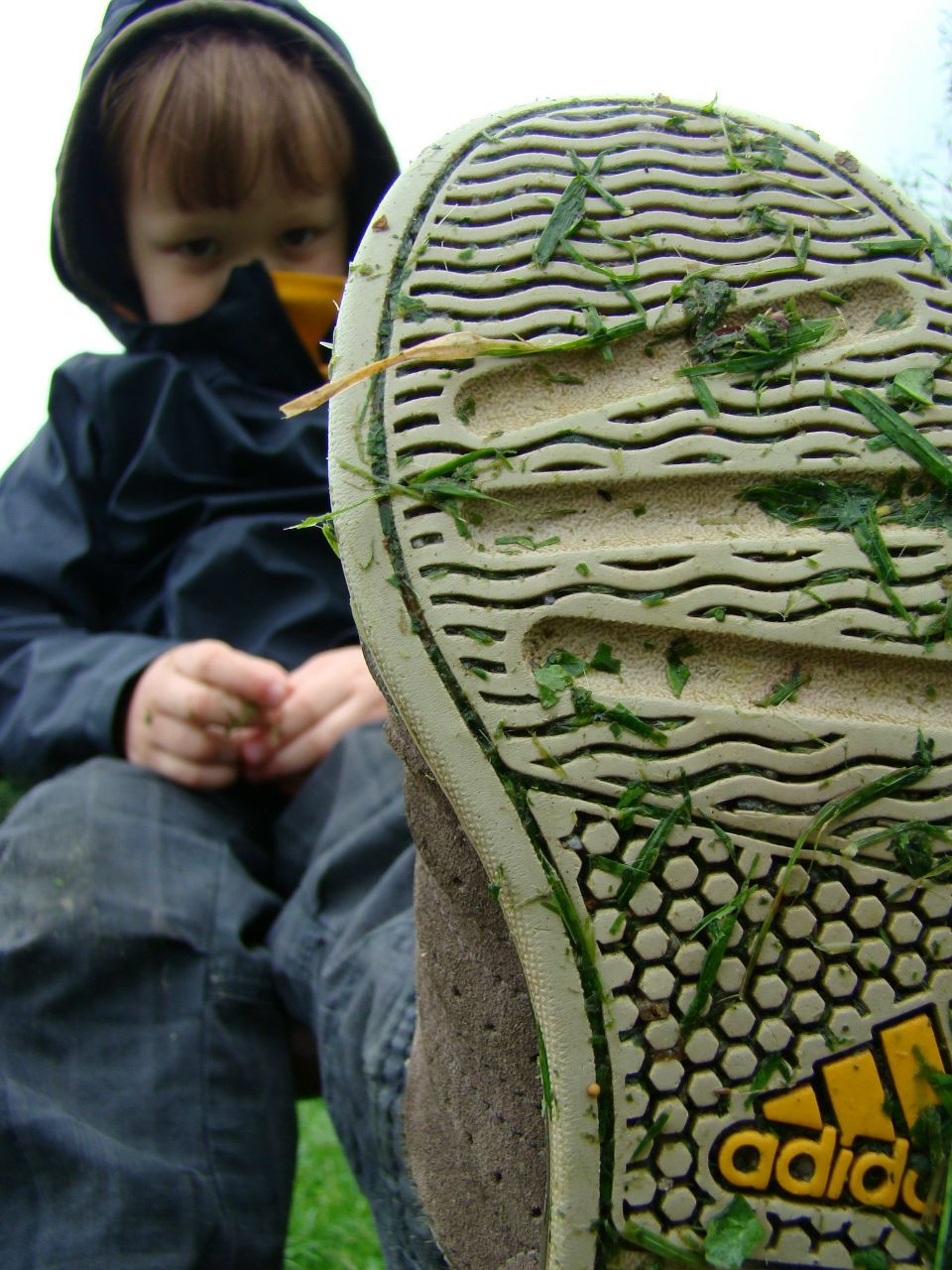 Павел Видавский | České Budějovice