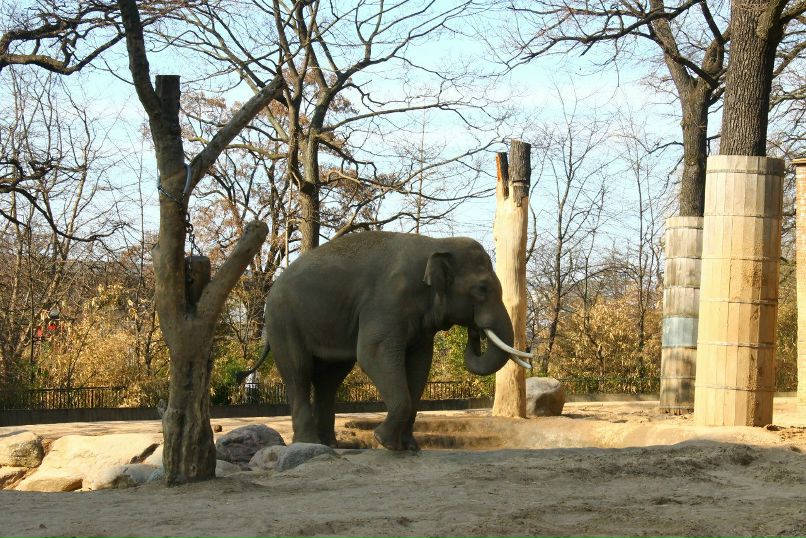 Кирилл Козырёв | Санкт-Петербург