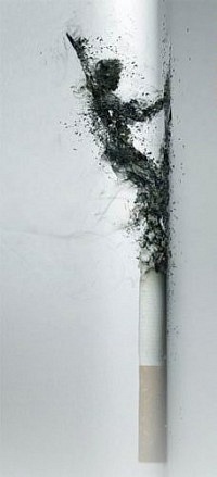 №29, Максим Биктеев №29, Максим Биктеев