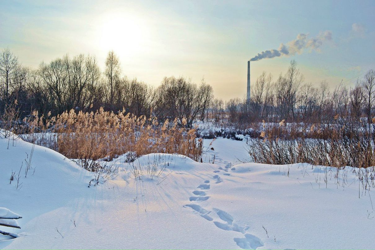 Коля Кактус | Киев