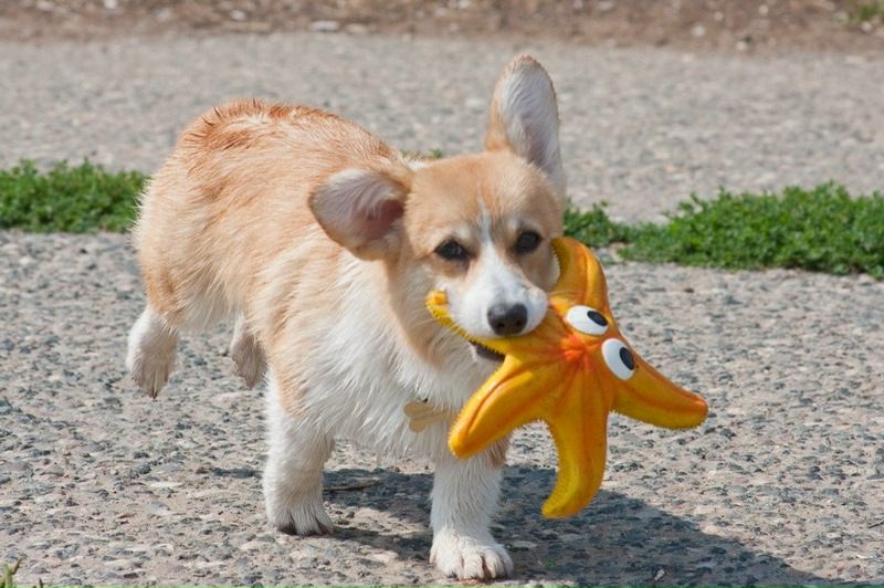 №8, Ирина Медведева, Санкт-Петербург, Россия №8, Ирина Медведева, Санкт-Петербург, Россия