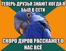 Фотография Шевченко Яна