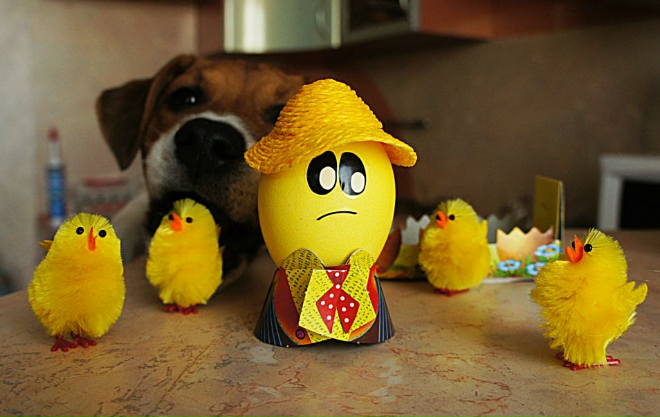 №51, Оль Ка, 44 года №51, Оль Ка, 44 года