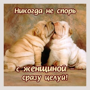 №142, Ирина Ирина, Санкт-Петербург №142, Ирина Ирина, Санкт-Петербург