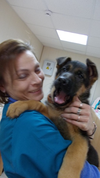 №93, Тая Павлова, Воронеж №93, Тая Павлова, Воронеж