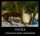 Фотография Ярослов Мельник