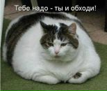 Фотография Вика Вербовая