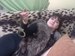 Ліля Вишнякова фотография #19