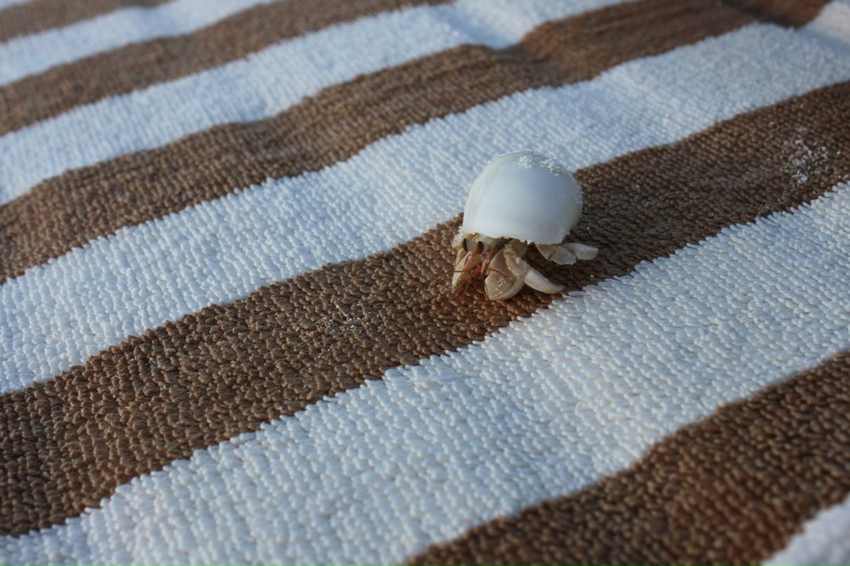 Настя Мусийчук | Алматы