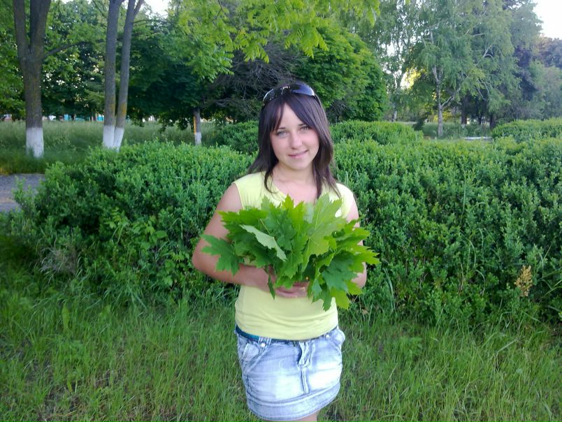 №8, Маришка Цомая №8, Маришка Цомая