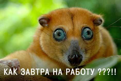 Кристина Роздульева | Пермь