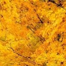 №29, Любов Бартиш №29, Любов Бартиш