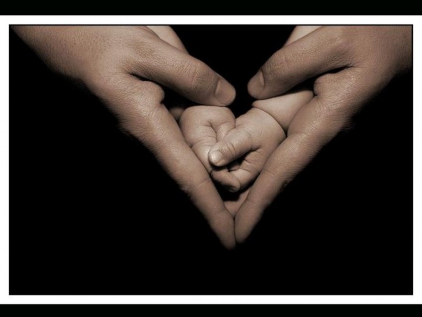 №2, Daneli Koshanova №2, Daneli Koshanova