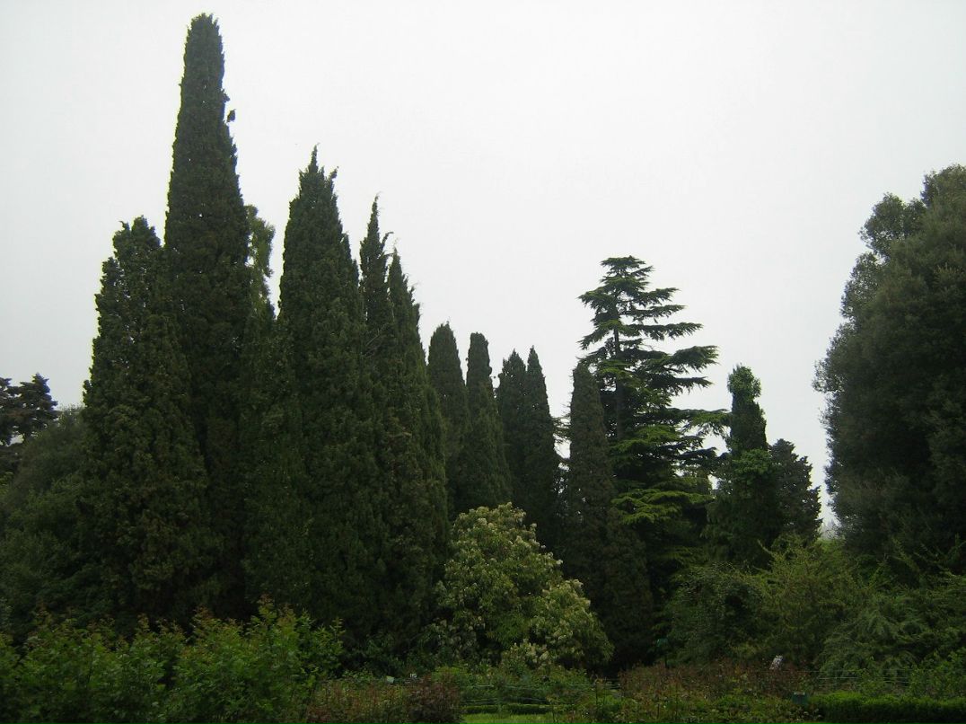 Сергей Грин | Приморск