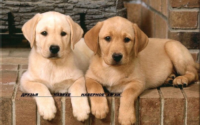 Катя Смолякова | Бийск