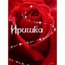 Фотография Шуляк Ирины