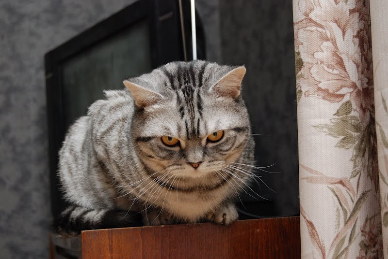 Павел Васильев | Запорожье