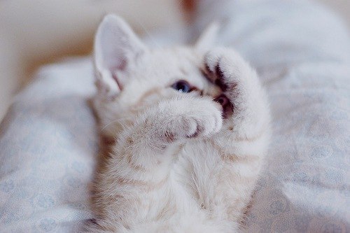 Александр Ютаев Игоревич | Красноярск