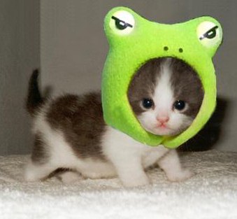 Алдар Антагаров | Кырен