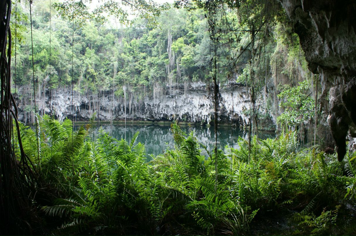 Кирилл Дроздов-Тихомиров | Москва