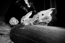 Фотография Алёна Фетисова