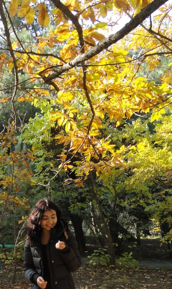 Назрин Джавадова | Баку