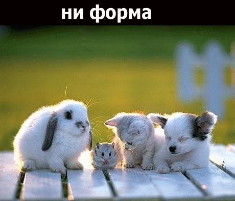 Михаил Михеев | Москва