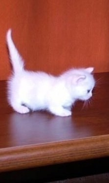 Анна Щербакова | Киев