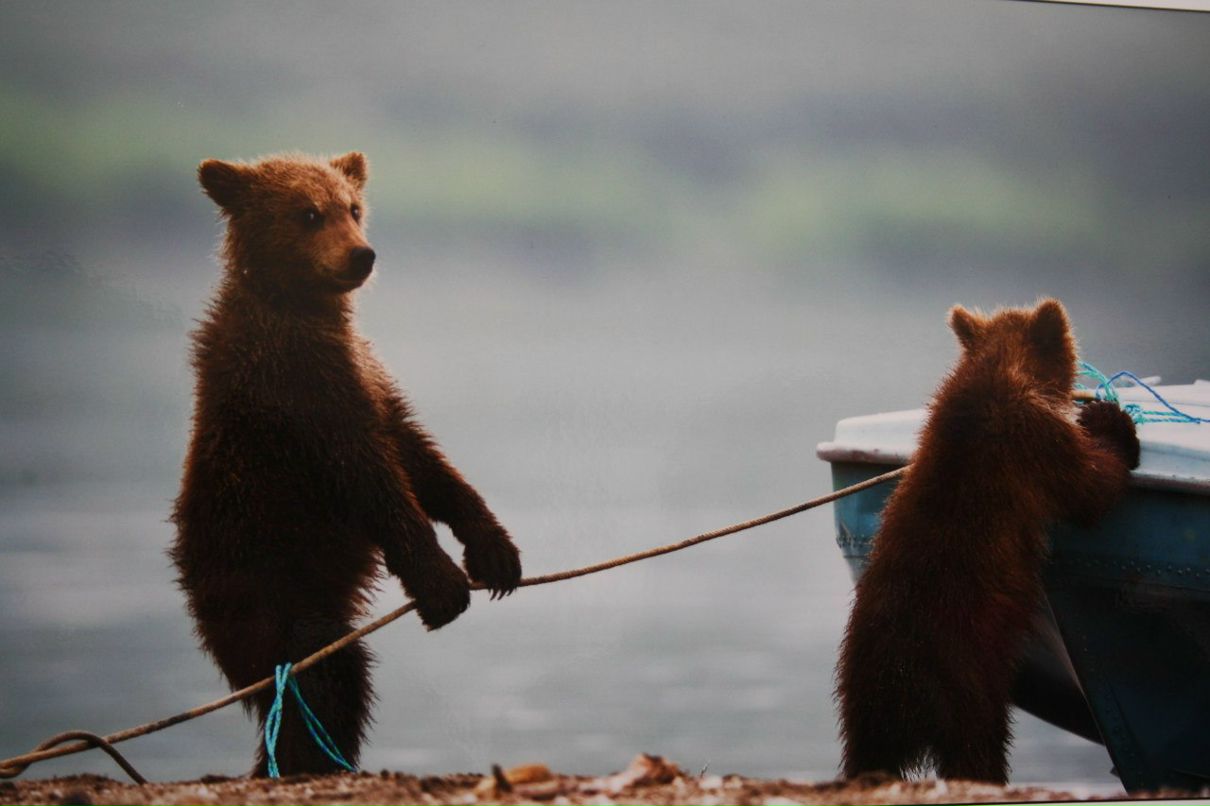 Ольга Лапшенкова | Москва