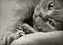Фотография Александровны Валентины