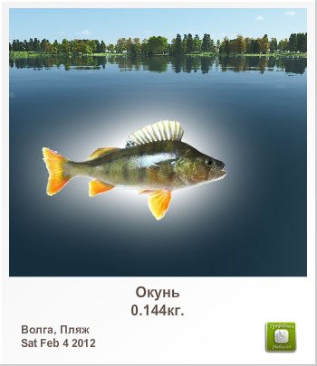 Светлана Богданова | Луусалми