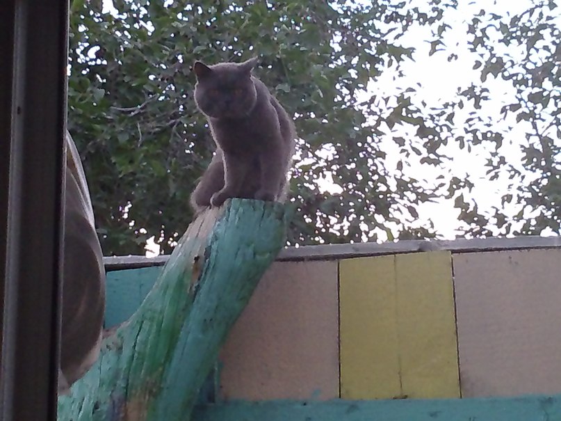 Vasya Bulkin | Ростов-на-Дону