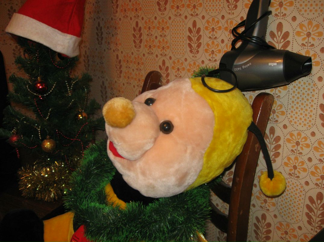 Надежда Голомысова | Орёл