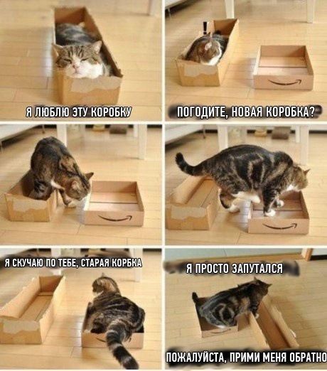 Никита Бухтояров | 