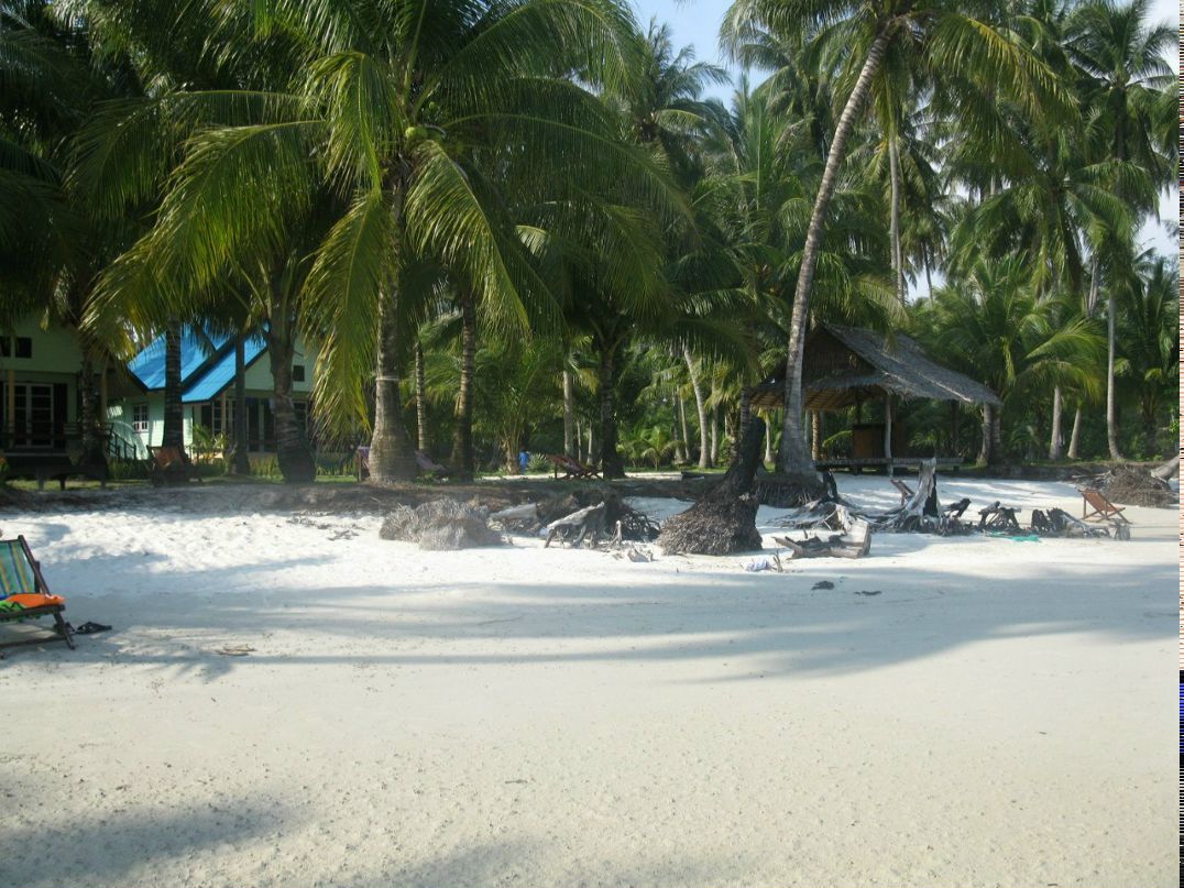 Светлана Полякова | Москва