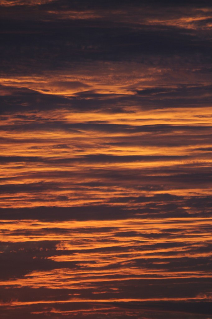 Илья Щербаков | Bat Yam