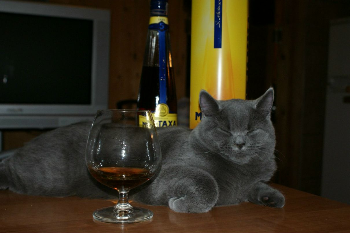 Женни Калинкина | Калининград