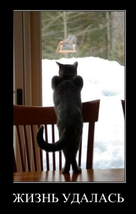 Василь Атаманчук Володимирович | Бережаны